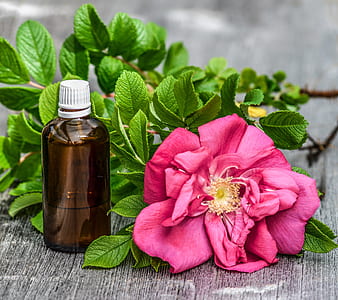 pink peony flower with amber glass bottle thumbnail