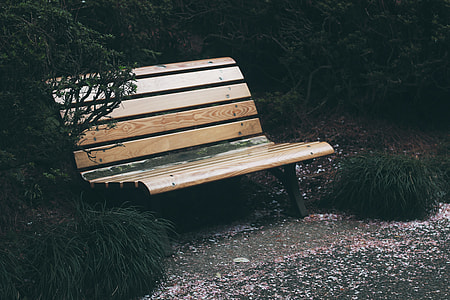 beige wooden bench beside green linear leaf plant thumbnail