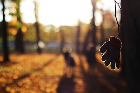 selective focus of hanging glove thumbnail