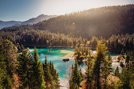 lake surrounded by trees thumbnail