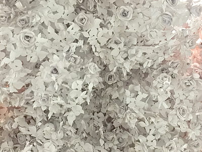 closeup photo of white flower decor thumbnail