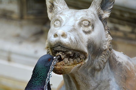 black pigeon beside white animal statuette thumbnail