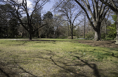 Empty Space in the Garden at UNC Chapel Hill, North Carolina thumbnail