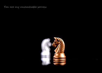 brown wooden horse chess piece thumbnail