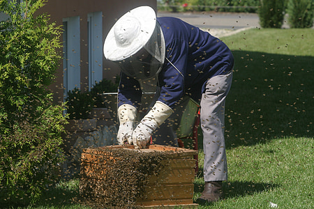 man collecting honey on brown crate thumbnail