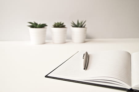 notebook, table, inside, plants thumbnail