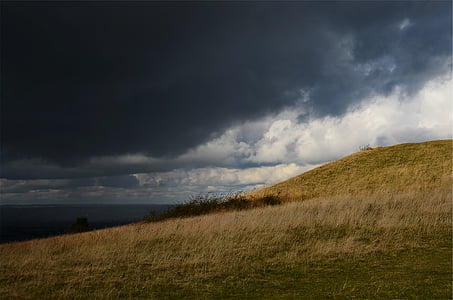 grass field under gray clouds thumbnail