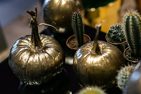 Golden ornamental pumpkins with cactuses thumbnail