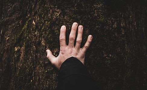 person's left hand thumbnail