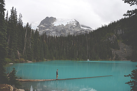 person standing on log in body of water thumbnail