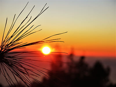 Photo of Sunset View thumbnail