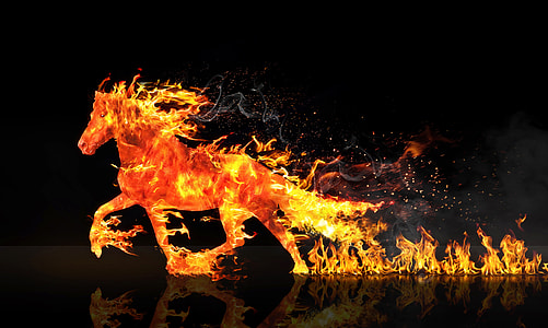 horse in flame digital wallpaper thumbnail