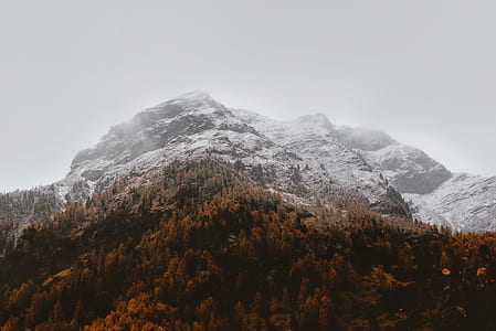 mountain surrounded by trees under white sky during daytime thumbnail
