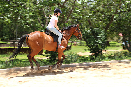 woman ridding brown horse near tree thumbnail