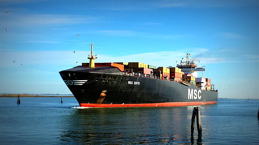 black MSC shipping boat in body of water thumbnail