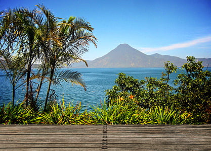 photo of flower garden near body of water thumbnail