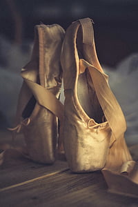 pair of ballet shoes thumbnail
