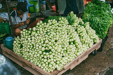 Pile of Bok Choy thumbnail