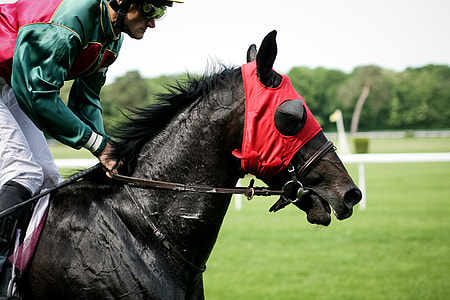 Horse Racing thumbnail