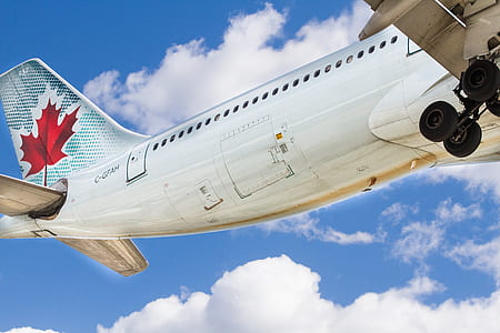 in flight passenger plane thumbnail