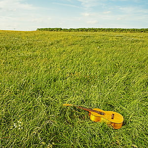 guitar on green grass during daytime thumbnail