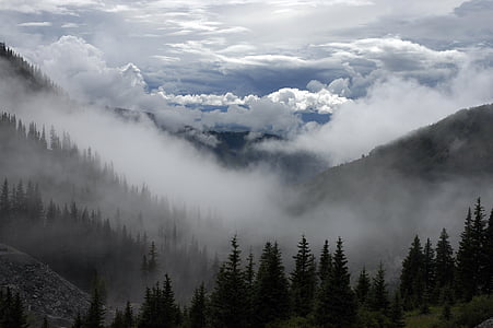 fog covered mountain cliffs thumbnail