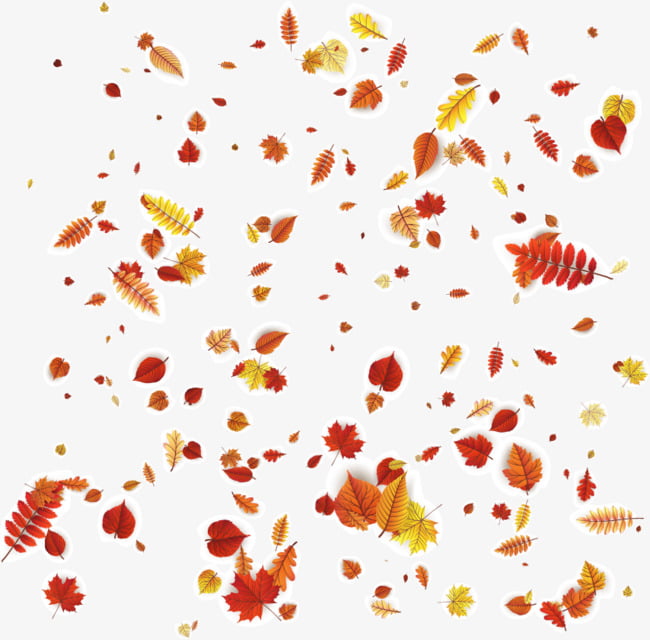 vector autumn leaves falling ai file