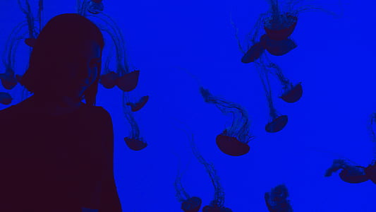 silhouette of woman with jelly fish background thumbnail