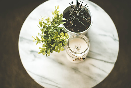 white votive candle beside green succulent plant thumbnail
