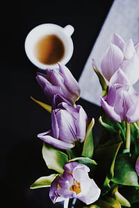 Flower Near Cup thumbnail