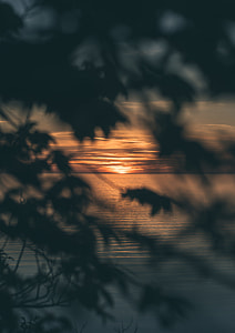 sea in sunset thumbnail