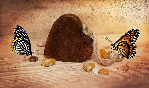 two butterflies and heart decor thumbnail