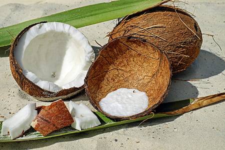 coconut fruit thumbnail