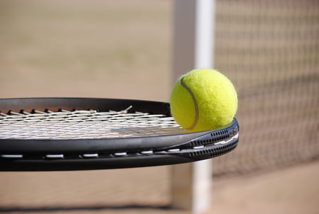 black tennis racket and tennis ball thumbnail