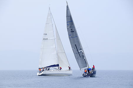 two white and gray sailboats on body of water thumbnail