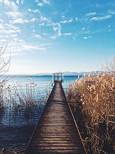 brown wooden dock during daytime thumbnail
