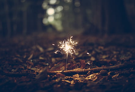 low exposure photo of lighted sparkler surrounded with withered leaves on ground thumbnail