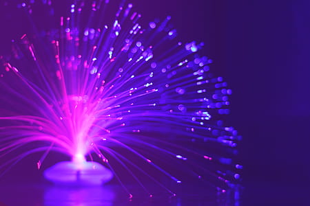 light, night, dark, purple thumbnail