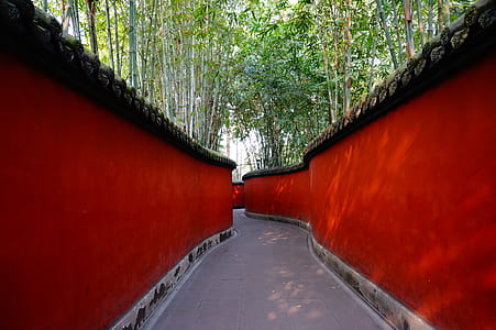 Red and Gray Pathway Near Trees thumbnail