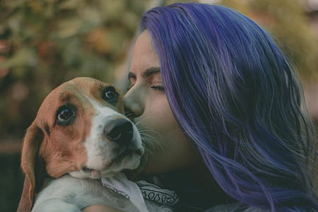 woman kissing Normandy basset thumbnail