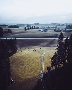 aerial photography of brown open field during daytime thumbnail