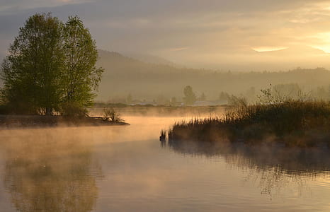 calm body of water with trees thumbnail