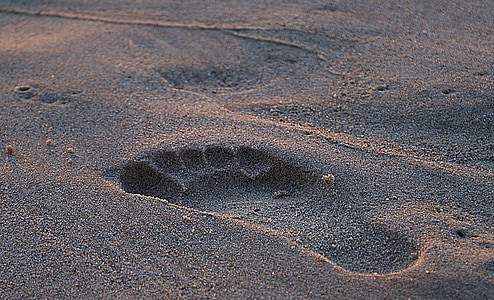 footprint on sand thumbnail