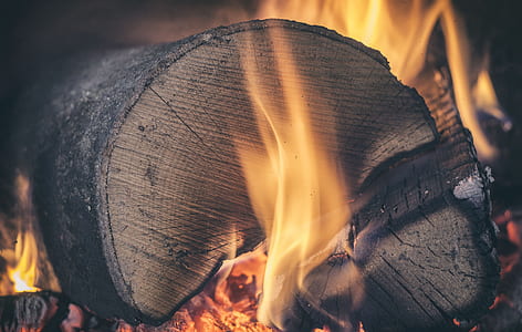 burning firewood stock thumbnail