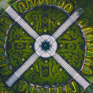 bird's eye photography of topiary garden thumbnail