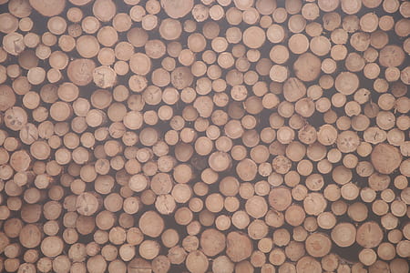 wood, log, pile, stack thumbnail