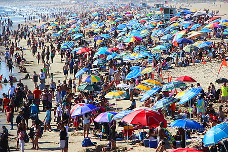group of people sunbathing on shore thumbnail