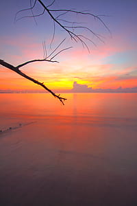 sea, dawn, nature, sky thumbnail