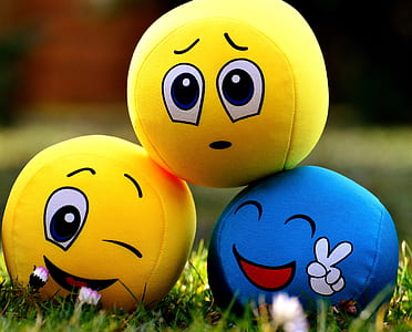 three assorted-color ball plush toy on grass thumbnail