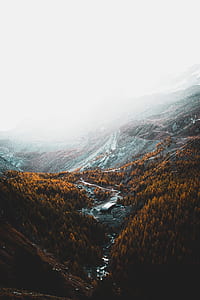 orange leaf trees surrounding gray concrete building in between mountains with fog thumbnail